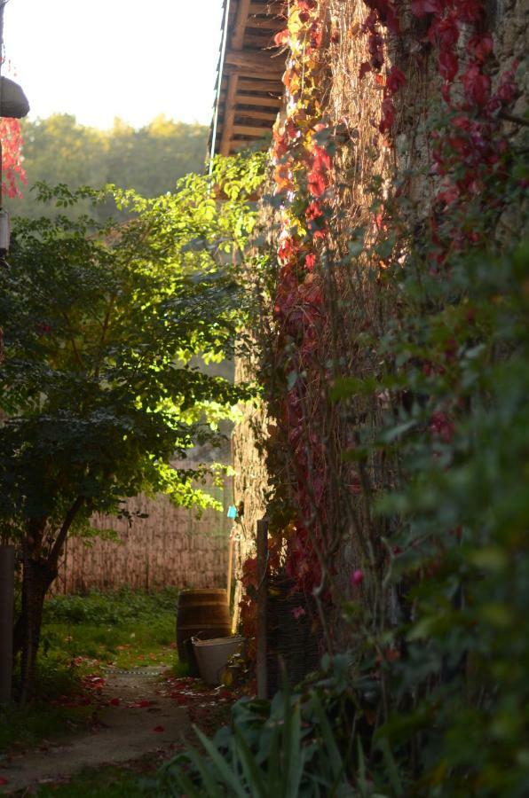 Apartment Torre Tanquian Eco - Ribeira Sacra *